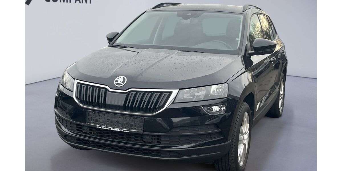 Skoda Karoq 119.880 km 21.550 &euro; Lauterbach 36341