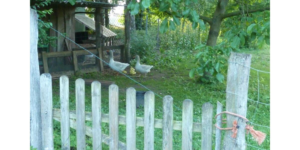 Mehrfamilienhaus, Wohnhaus Crivitz - 550.000&euro; | Angebot:25342902