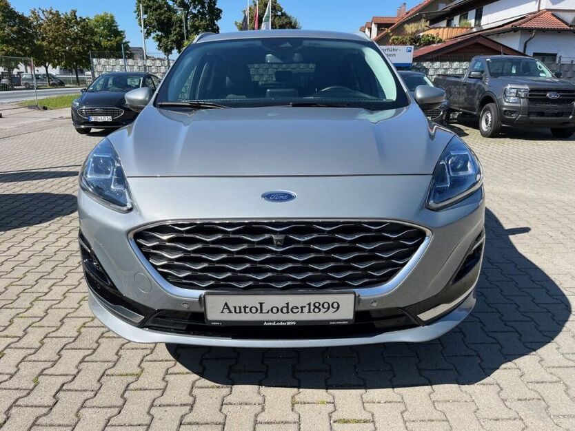 Kuga