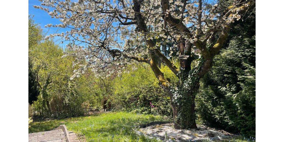 Dachgeschoßwohnung Bayreuth Meyernberg - 2 Zimmer, 89 m&sup2;, 980&euro; | Angebot:26407109