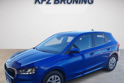 Skoda Fabia 25.221 km 18.980 &euro; Lingen (Ems) 49811