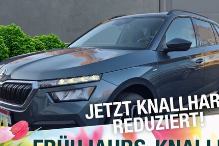 Skoda Kamiq 65.800 km 20.770 &euro; Marktredwitz 95615