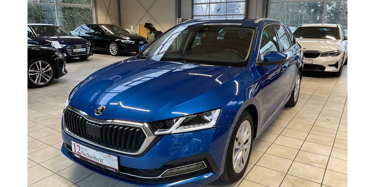 Skoda Octavia 117.640 km 19.899 &euro; Buxtehude 21614