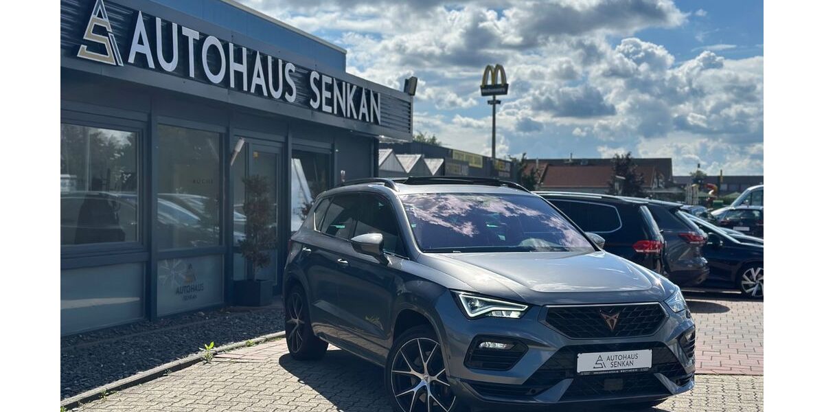 Cupra Ateca 75.900 km 29.990 &euro; Peine 31228