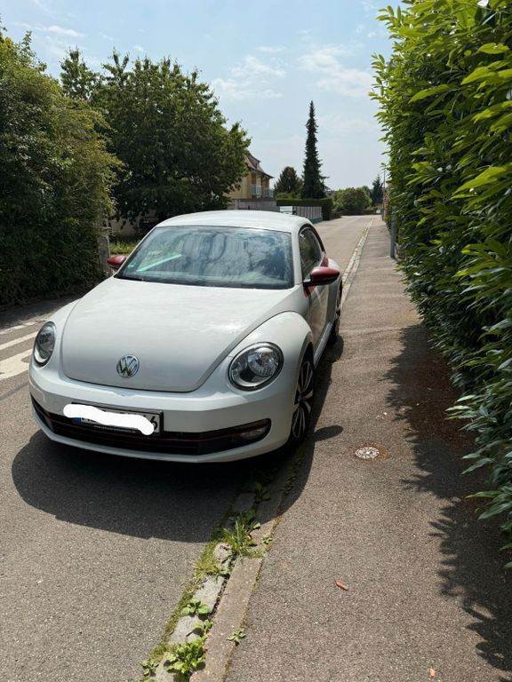 Beetle