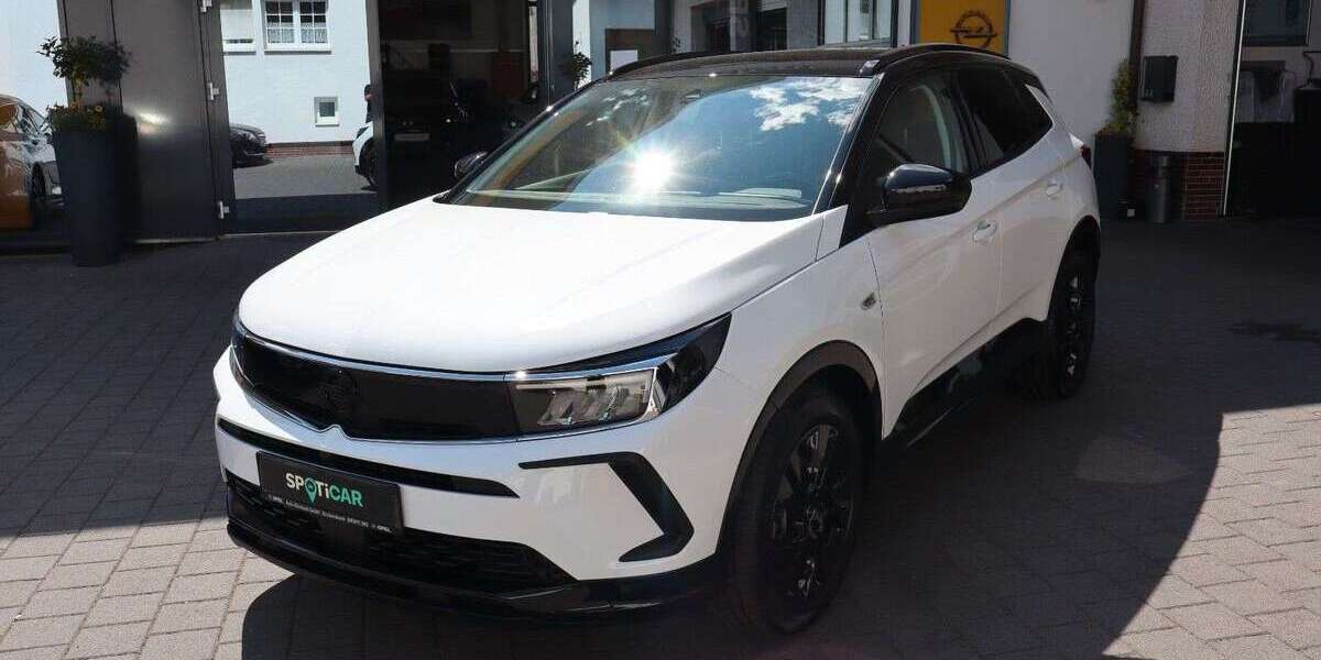 Opel Grandland X 38.500 km 21.990 &euro; Krickenbach 67706