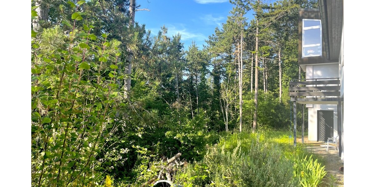 Naturnah: Traumhaus in Aussichtslage - Zweifamilienhaus Mosbach | Angebot:25904161