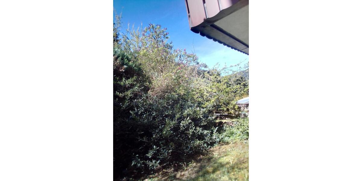 Einfamilienhaus Bad Liebenzell - 8 Zimmer, 230 m&sup2;, 419.000&euro; | Angebot:26889302