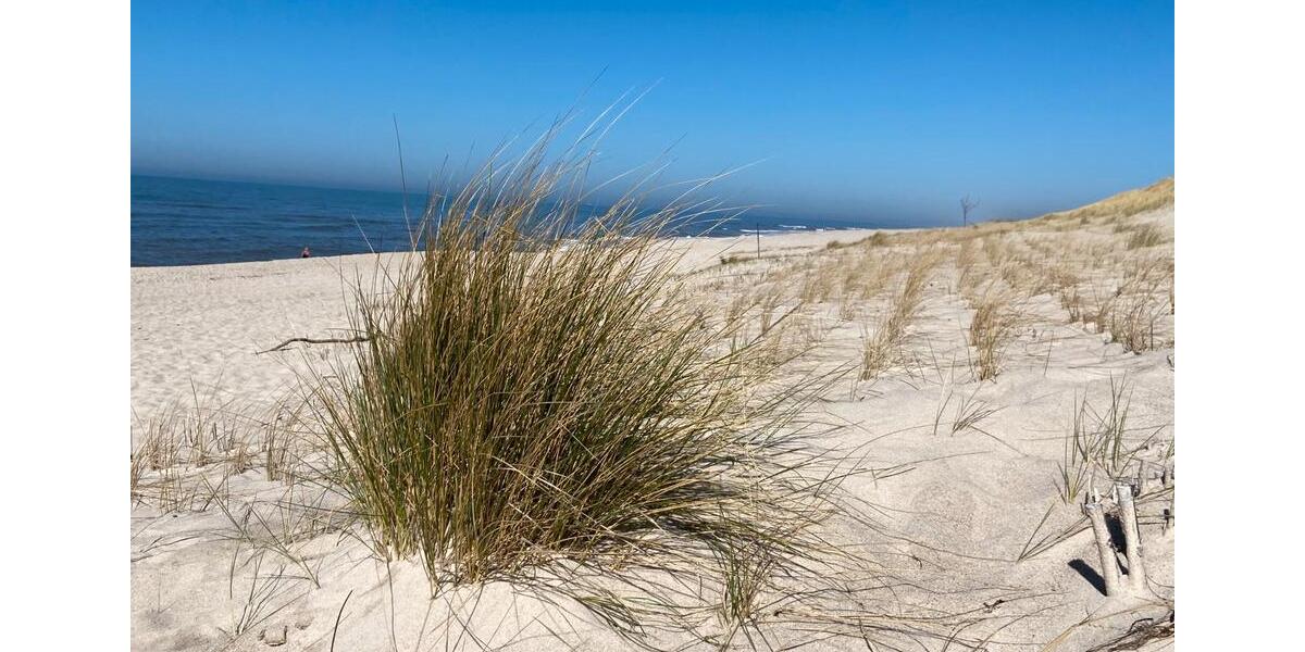Erdgeschoßwohnung Sylt - 1.5 Zimmer, 45 m&sup2;, 315.000&euro; | Angebot:26544396