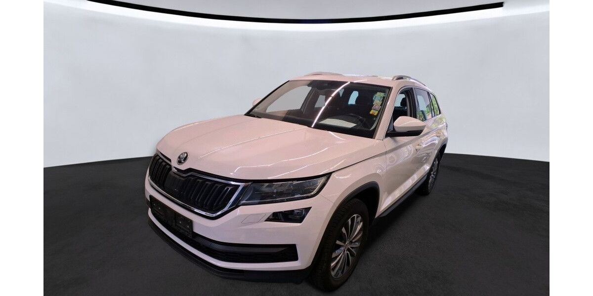 Skoda Kodiaq 179.000 km 20.590 &euro; Peine 31228