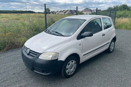 VW Fox