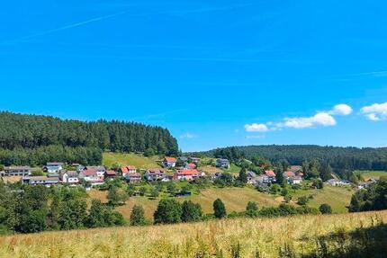 1-2-Familienhaus nahe Erbach (Odw) von privat zu vermieten zimmer