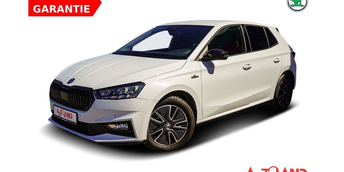 Skoda Fabia 25.437 km 19.950 &euro; Wietmarschen 49835