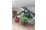 Maisonettenwohnung Stromberg - 4 Zimmer, 60 m&sup2;, 139.000&euro; | Angebot:26785913