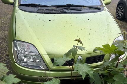 Renault Scenic 204.141 km 699 &euro; Mönchengladbach 41179