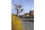 Bauernhaus, Landhaus Moritzburg Friedewald - 6 Zimmer, 175 m&sup2;, 2.300&euro; | Angebot:26331569