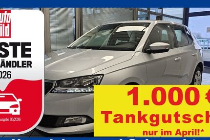 Skoda Fabia 45.322 km 10.450 &euro; Wolfsburg-Heiligendorf 38444