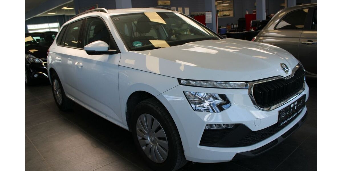 Skoda Kamiq 34.139 km 17.480 &euro; Euskirchen 53881