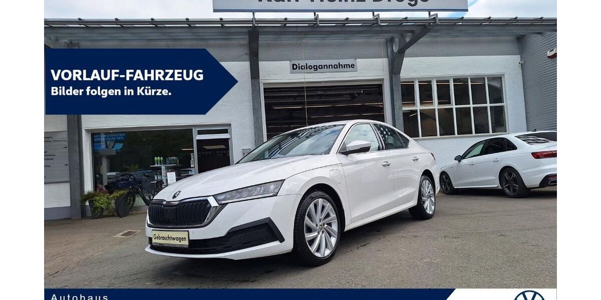 Skoda Octavia 59.530 km 19.980 &euro; Extertal 32699
