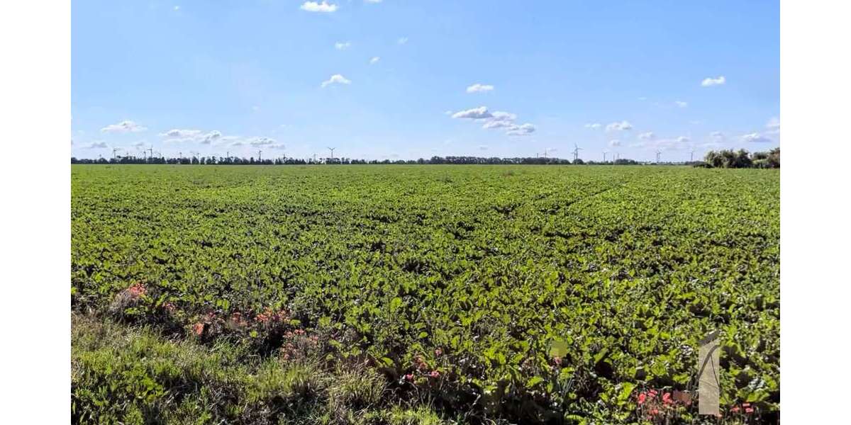 Grundstück Rottmersleben Rottmersleben - 129.125&euro; | Angebot:22400527