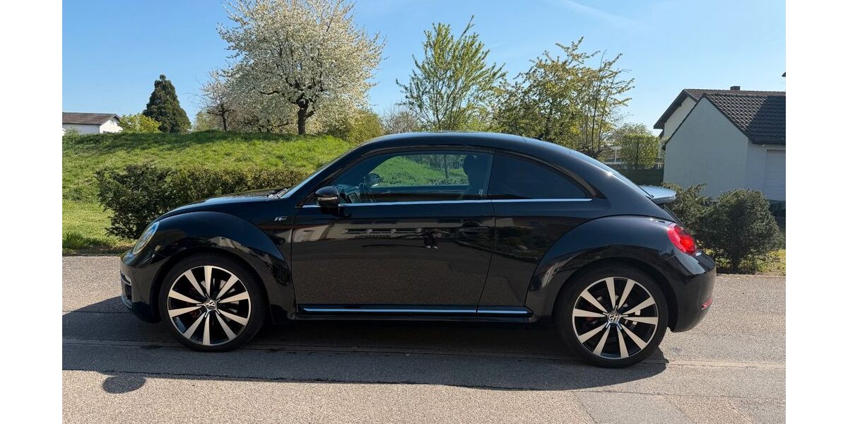 VW Beetle 80.731 km 13.500 &euro; Sankt Leon-Rot 68789
