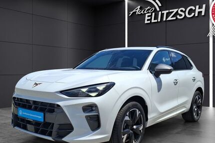 Cupra Terramar 1.500 km 34.950 &euro; Löbau 02708