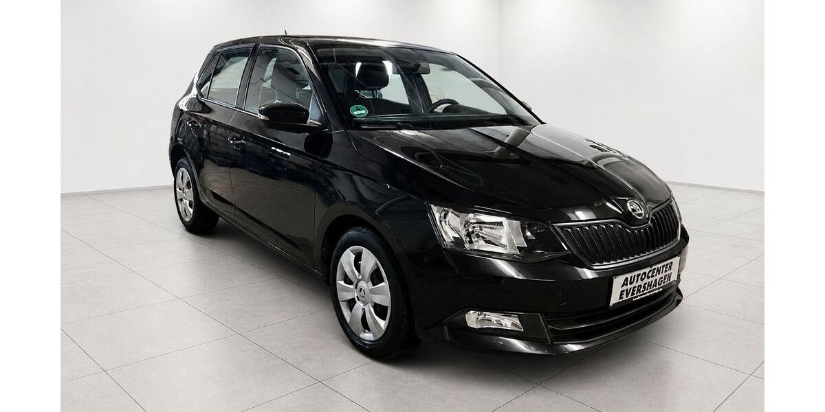 Skoda Fabia 91.500 km 7.999 &euro; Rostock 18106