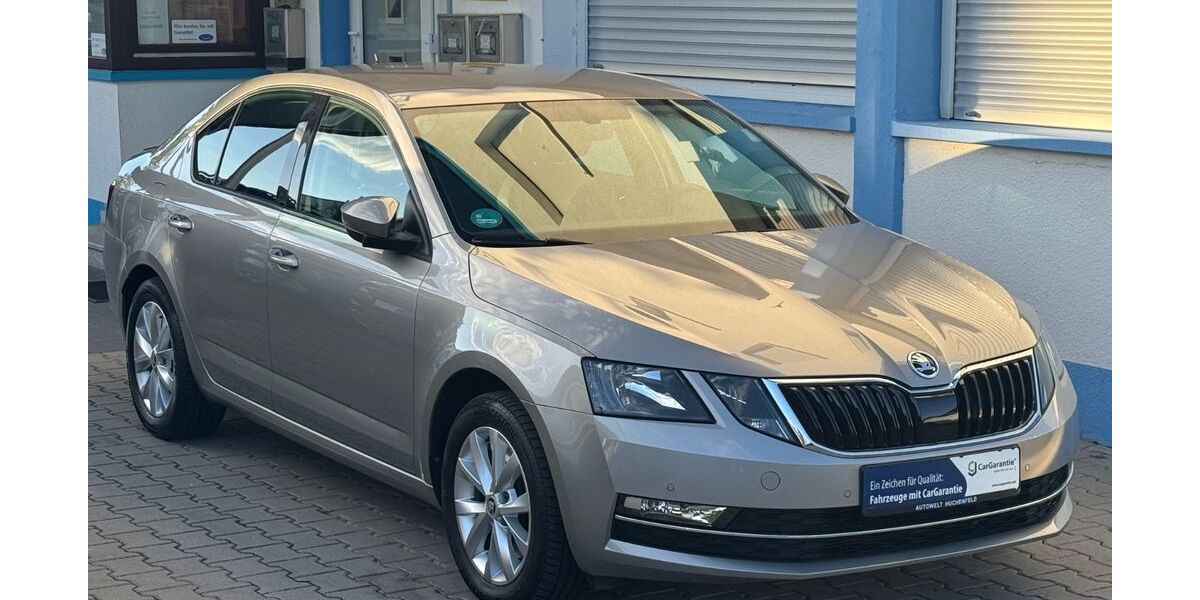 Skoda Octavia 100.000 km 16.480 &euro; pforzheim 75181