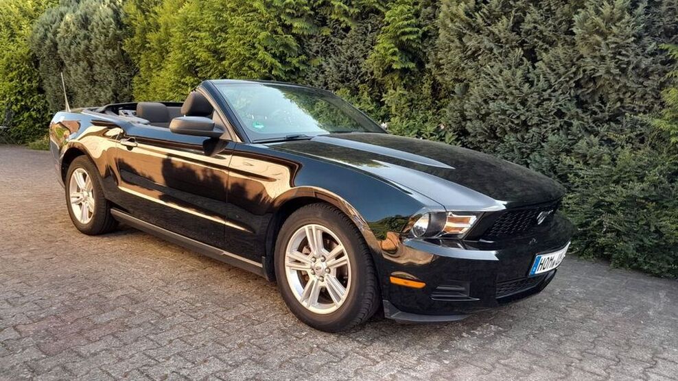 Mustang