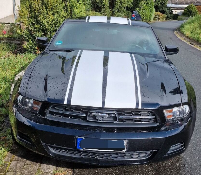 Mustang
