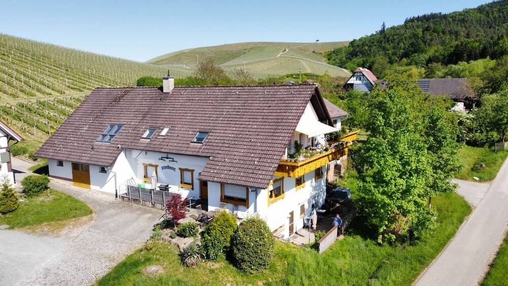 Mehrfamilienhaus, Wohnhaus Durbach - 1 Zimmer, 420 m&sup2;, 1.250.000&euro; | Angebot:26393061