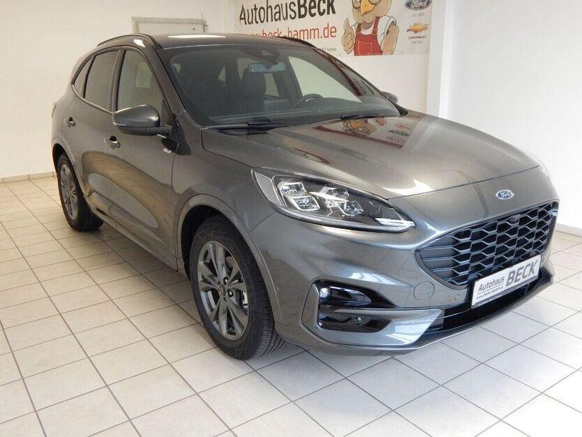 Kuga