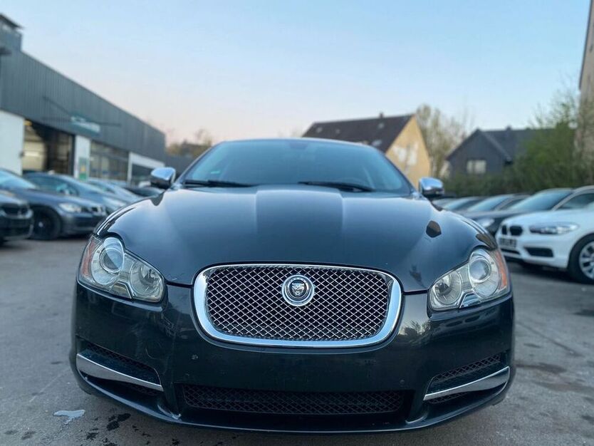 XF