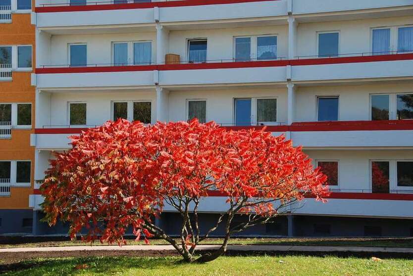 Wohnung zum Mieten in Chemnitz 223 € 36.03 m²