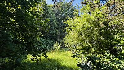LAGEJUWEL MIT TEICHBLICK AM BERNER GUTSPARK