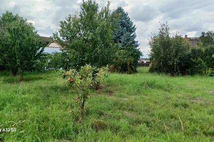 Grundstück zu verkaufen in Meuselwitz 60.000 € 3100 m² zimmer