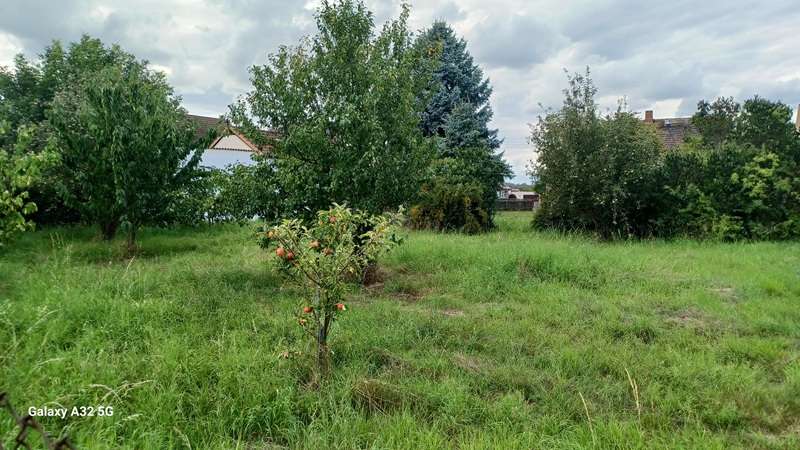 Grundstück zu verkaufen in Meuselwitz 60.000 € 3100 m² zimmer