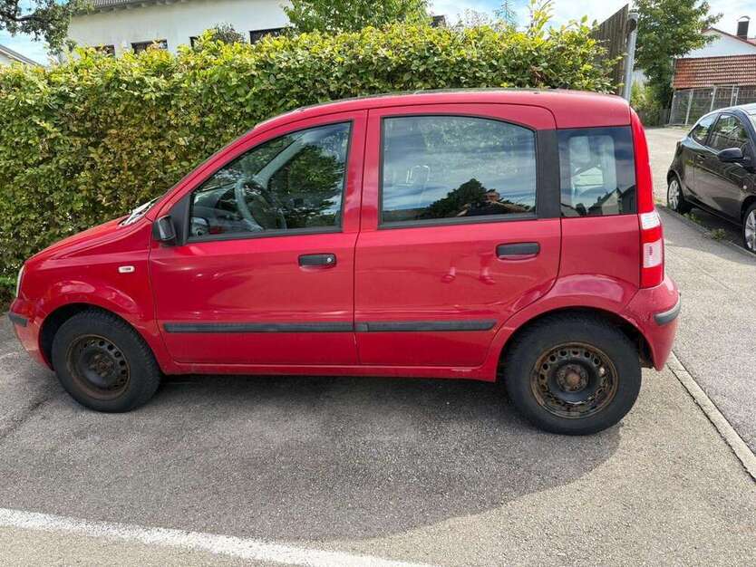 Panda