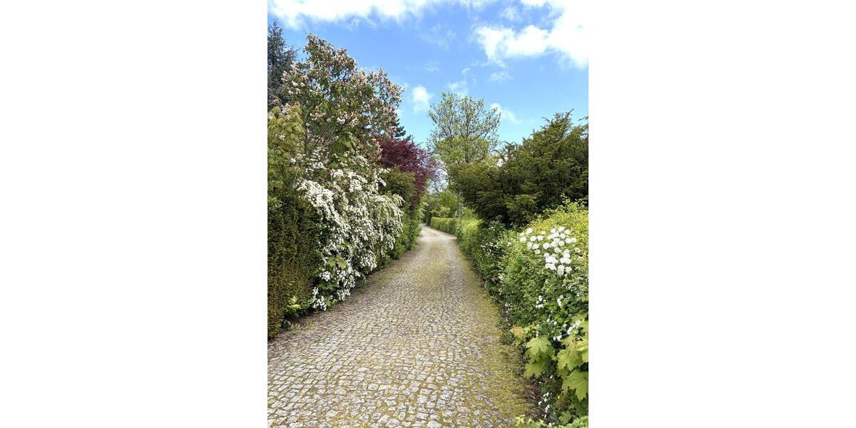Doppelhaushälfte Seeland Gatersleben - 3 Zimmer, 90 m&sup2;, 68.400&euro; | Angebot:26888692