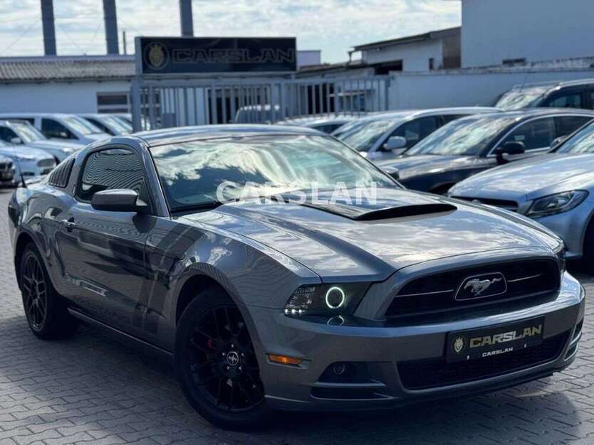 Mustang