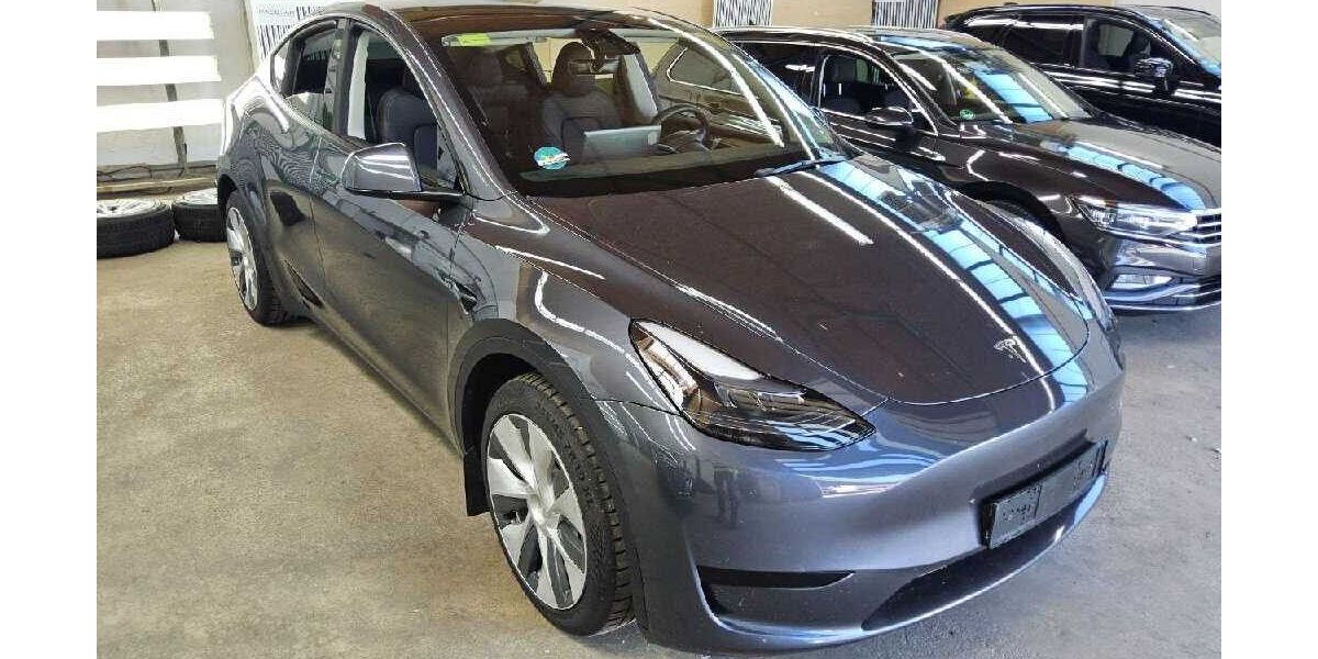 Tesla Model Y 56.000 km 31.800 &euro; Kirchberg/Untermitterdorf 94259