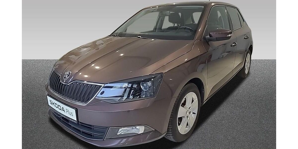 Skoda Fabia 54.001 km 10.890 &euro; Dresden 01067