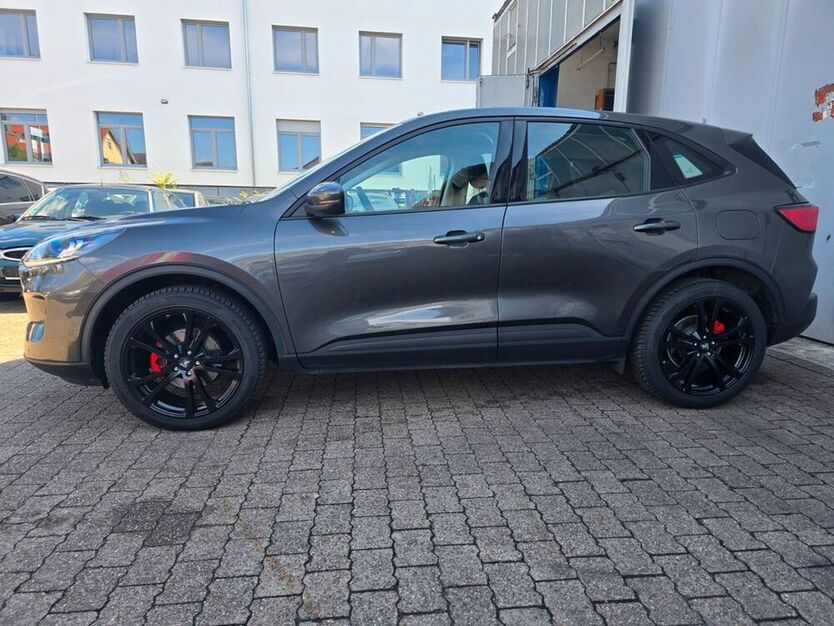 Kuga
