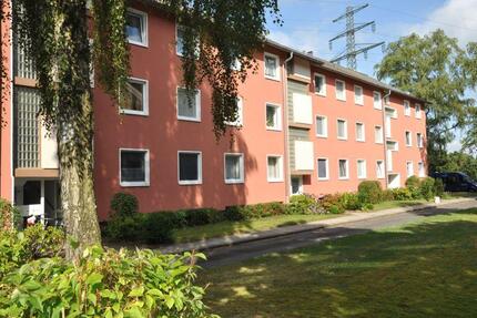 Gemütliche Singlewohnung zur Miete in Elmshorn - Wentzel Dr. 1 zimmer