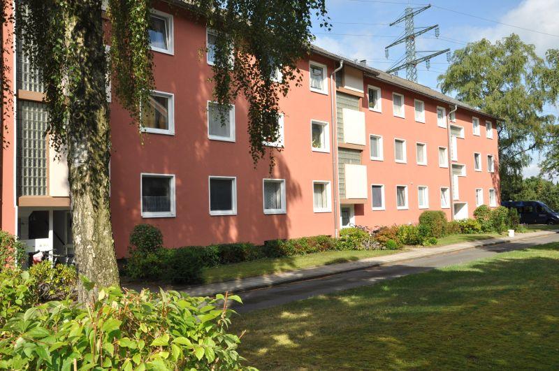 Gemütliche Singlewohnung zur Miete in Elmshorn - Wentzel Dr. 1 zimmer