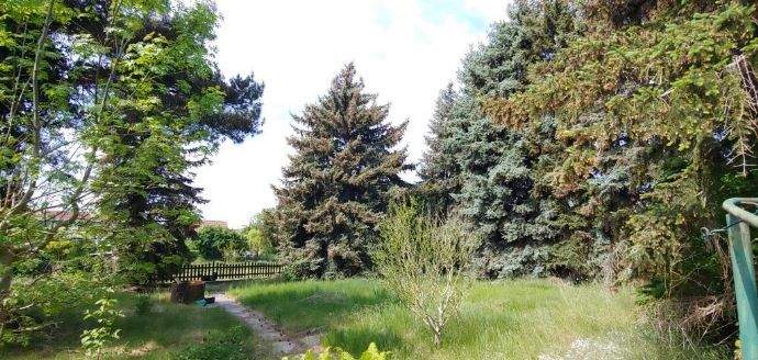 *** GROSSE FAMILIEN WILKOMMEN *** 4 zimmer