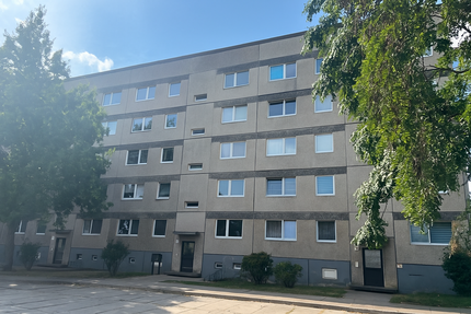 Wohnung zum Mieten in Zielitz 370 € 54.8 m² 2 zimmer