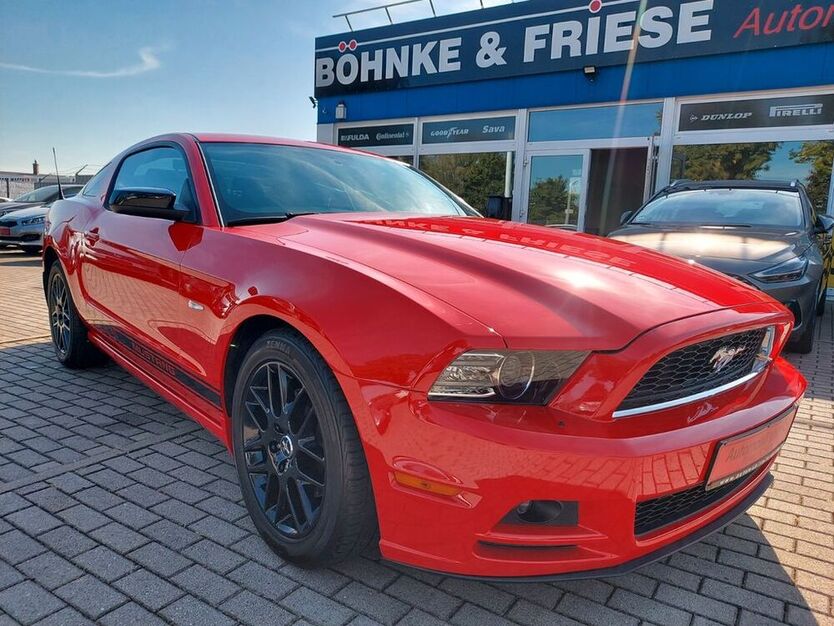 Mustang
