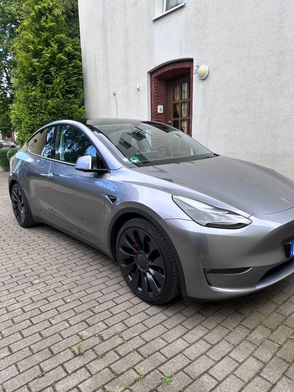 Model Y