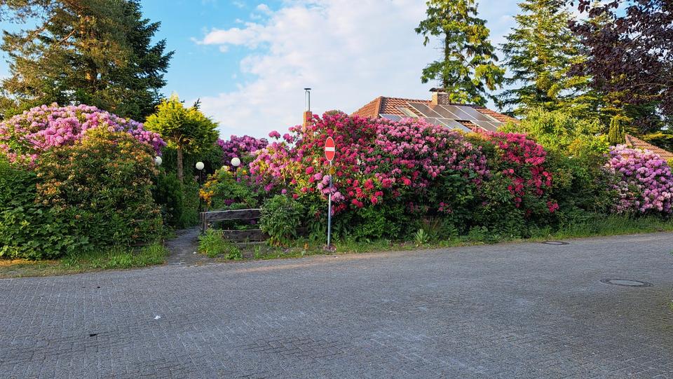Einfamilienhaus Friedeburg - 4 Zimmer, 92 m&sup2;, 350.000&euro; | Angebot:27115087